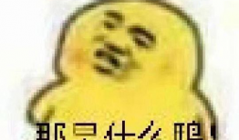 吃瓜爆料图片表情包大全高清,高清趣味瞬间，笑料横生！